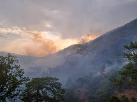 Bolu’nun Mudurnu ve Göynük ilçeleri arasında orman yangını meydana geldi.Hızlaseferber olan SEDAŞ ekipleri, önce kesintilere karşı önlem aldı