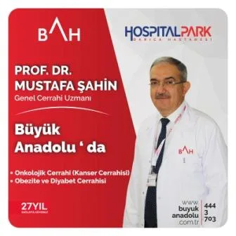 prof Mustafa Şahin