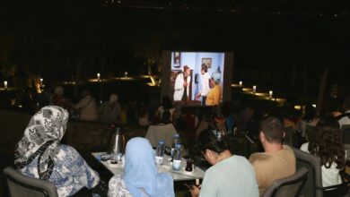 'Açık Hava Sinema Geceleri',