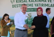 Kandıra topraklarının verimi Büyükşehir desteği ile arttı