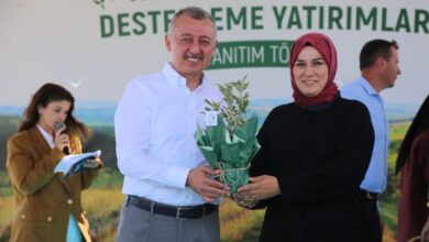 Kandıra topraklarının verimi Büyükşehir desteği ile arttı