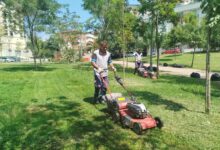 ebze Tatlıkuyu Vadisi Kent Parkı'na düzenli bakım