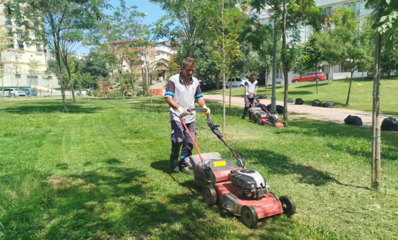 ebze Tatlıkuyu Vadisi Kent Parkı'na düzenli bakım