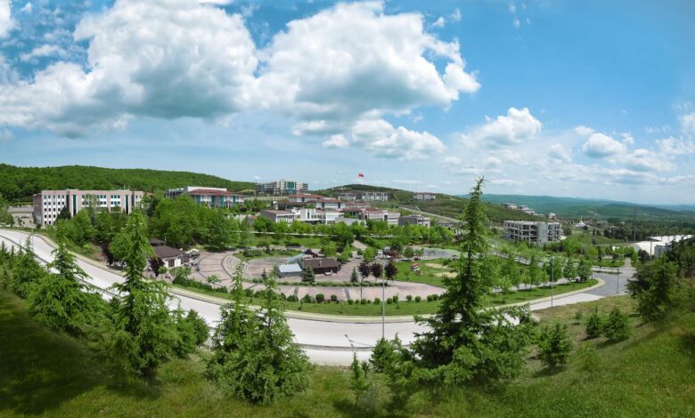 Düzce Üniversitesi,