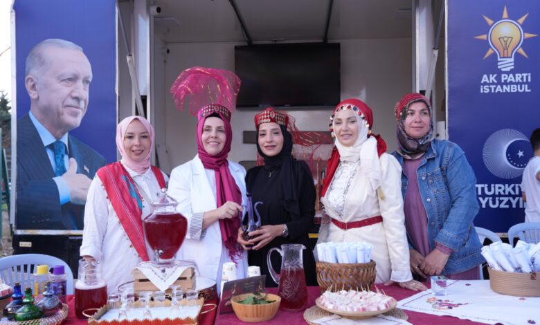 şifa ve bilgelik buluşması 