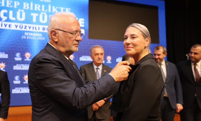 Ak Parti İstanbul
