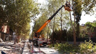 Alikahya Tramvay Hattı'nda ağaçlar budanıyor