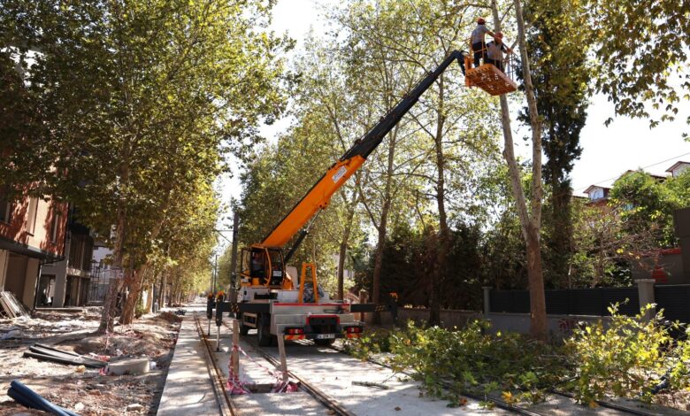 Alikahya Tramvay Hattı'nda ağaçlar budanıyor