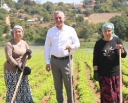 Büyükşehir destekliyor, üretim artıyor