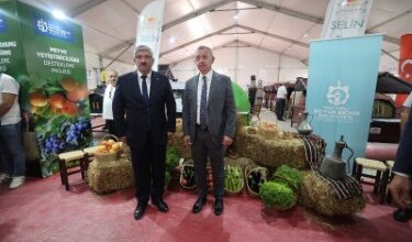 Çiftçinin çabasıyla Büyükşehir'in çabası birleşince bereket ortaya çıkıyor