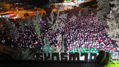 Kitap Fuarı'nın ruhu gece sineması ile Ormanya'da