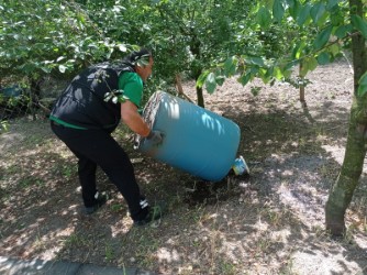 Kocaeli'de dört mevsim sivrisineğe geçit yok