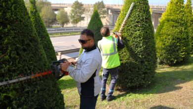 Büyükşehir, daha yeşil Kocaeli için sahada