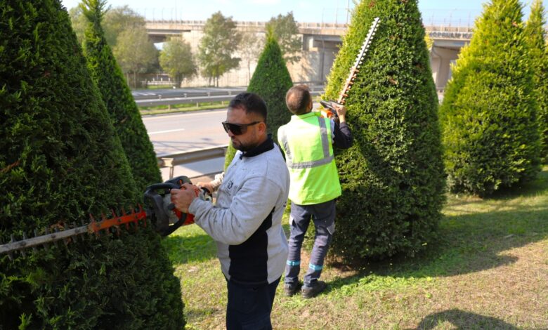 Büyükşehir, daha yeşil Kocaeli için sahada