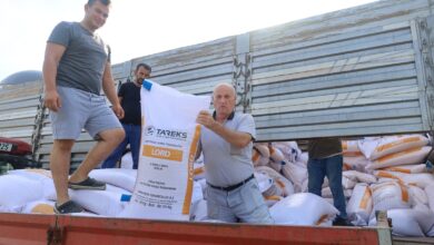 Büyükşehir'den çiftçiye yüzde 75 hibeli tohum desteği