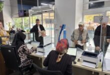 Büyükşehir'in tohum desteğine yoğun ilgi
