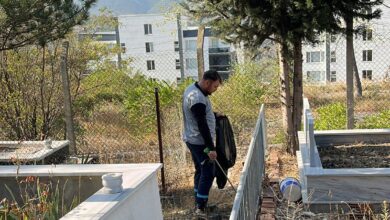 Mezarlıklar, Büyükşehir'le pırıl pırıl