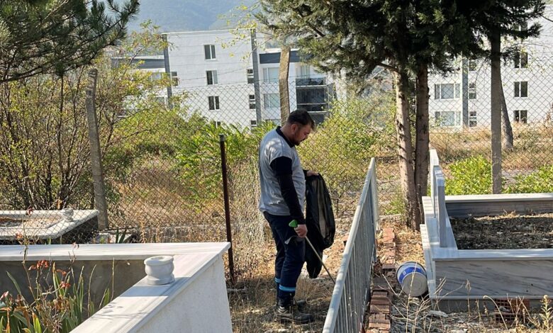 Mezarlıklar, Büyükşehir'le pırıl pırıl