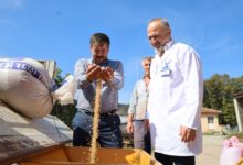 Seyyar selektör makinesi çiftçilerin hizmetinde