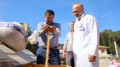 Seyyar selektör makinesi çiftçilerin hizmetinde