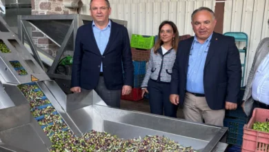 zeytinyagi-ihracatinda-en-buyuk-sorun-markasizlik-