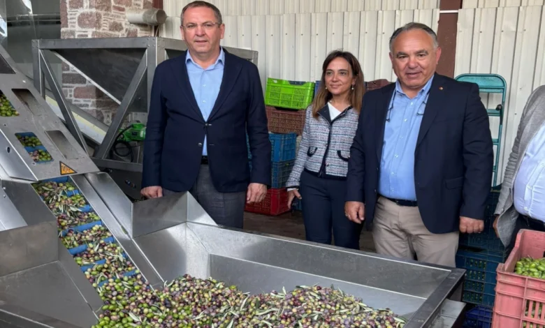 zeytinyagi-ihracatinda-en-buyuk-sorun-markasizlik-