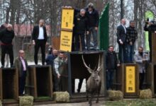 Kocaeli Büyükşehir Belediyesi,