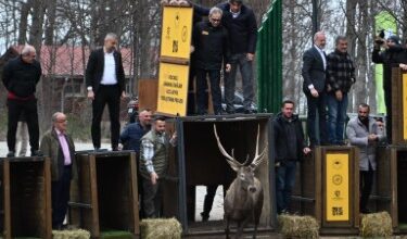 Kocaeli Büyükşehir Belediyesi,