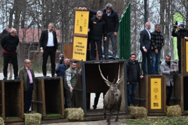 Kocaeli Büyükşehir Belediyesi,