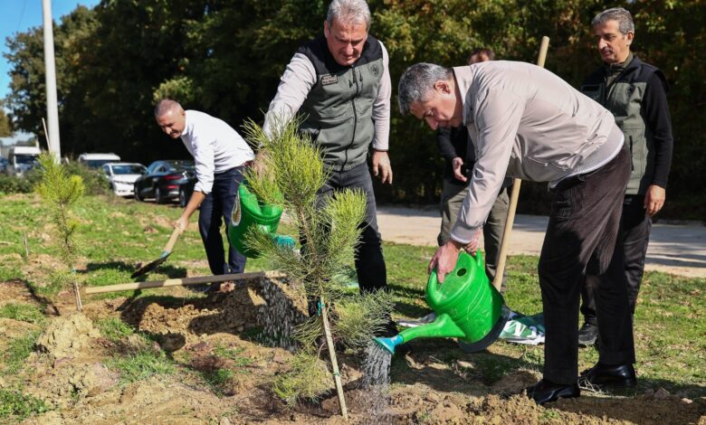 Hatıra Ormanı ile Geleceğe Umut Oluyor