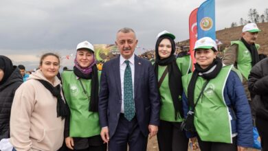 Yanan bölge 3 bin fidanla yeniden yeşerecek