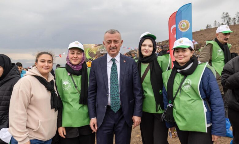 Yanan bölge 3 bin fidanla yeniden yeşerecek