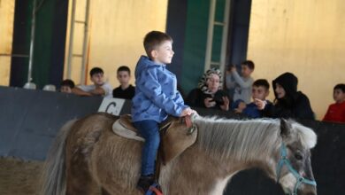 Kartepe Belediyesi Atlı Binicilik Kulübü, ara tatil boyunca yoğun ilgi gördü.
