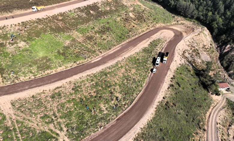 Büyükşehir’in dokunuşlarıyla Kocaeli yeşile doyuyor