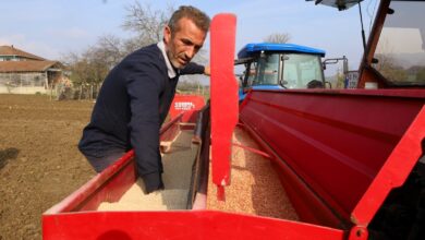 Büyükşehir'in hibeli tohumları toprakla buluştu