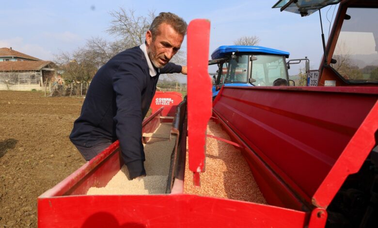 Büyükşehir'in hibeli tohumları toprakla buluştu