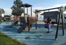 Darıca Millet Bahçesi'nde kesintisiz çalışma