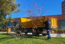 Darıca Millet Bahçesi'nde temizlik seferberliği