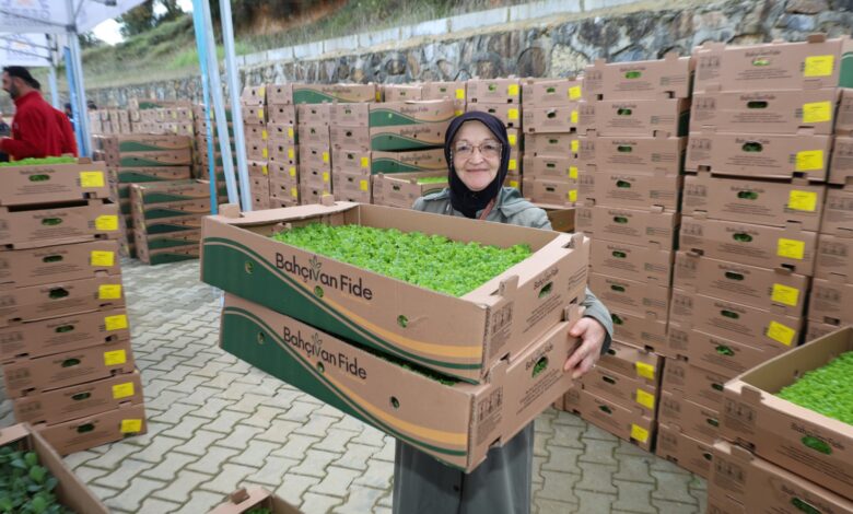 Gebzeli çiftçiye 500 bin sebze fidesi