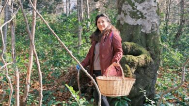 Kuzuyayla'da mantarların gizemli dünyası keşfedildi