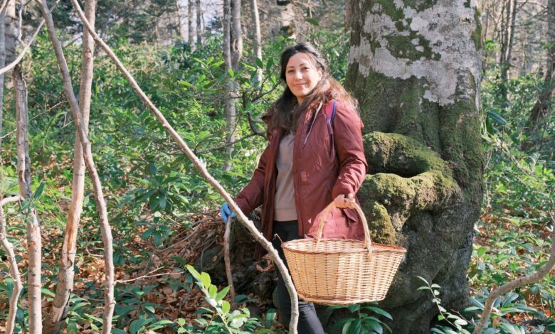 Kuzuyayla'da mantarların gizemli dünyası keşfedildi