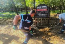 Ormanya'da oyun gruplarına periyodik bakım