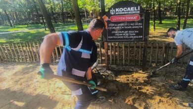 Ormanya'da oyun gruplarına periyodik bakım