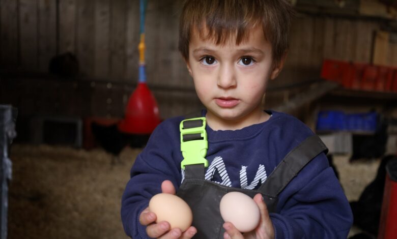 Kırsalda geçim kapısı güçleniyor, istihdam artıyor