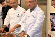 Düzce Üniversitesi Turizm Fakültesi