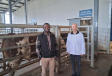 Büyükşehir mezbahasına örnek tesis vurgusu