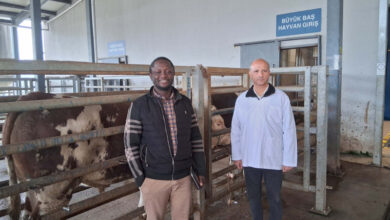 Büyükşehir mezbahasına örnek tesis vurgusu