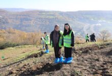 Kocaeli Büyükşehir Belediyesi,