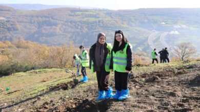 Kocaeli Büyükşehir Belediyesi,