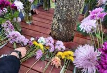 Renklerin en zarif hali buketlerde buluştu